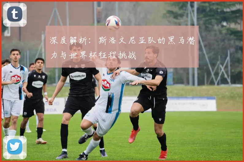 深度解析：斯洛文尼亚队的黑马潜力与世界杯征程挑战