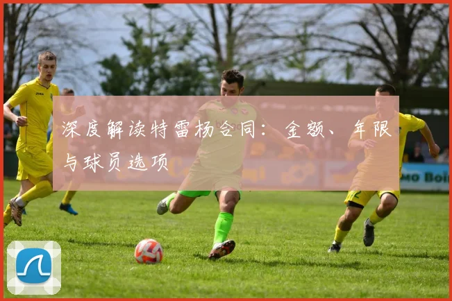 深度解读特雷杨合同：金额、年限与球员选项